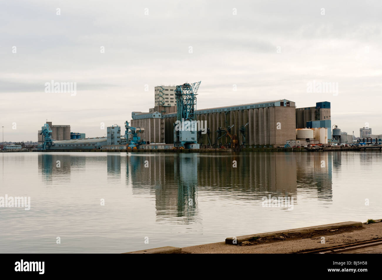 Terminale di grano magazzino al dock per il carico di grano da navi Foto Stock
