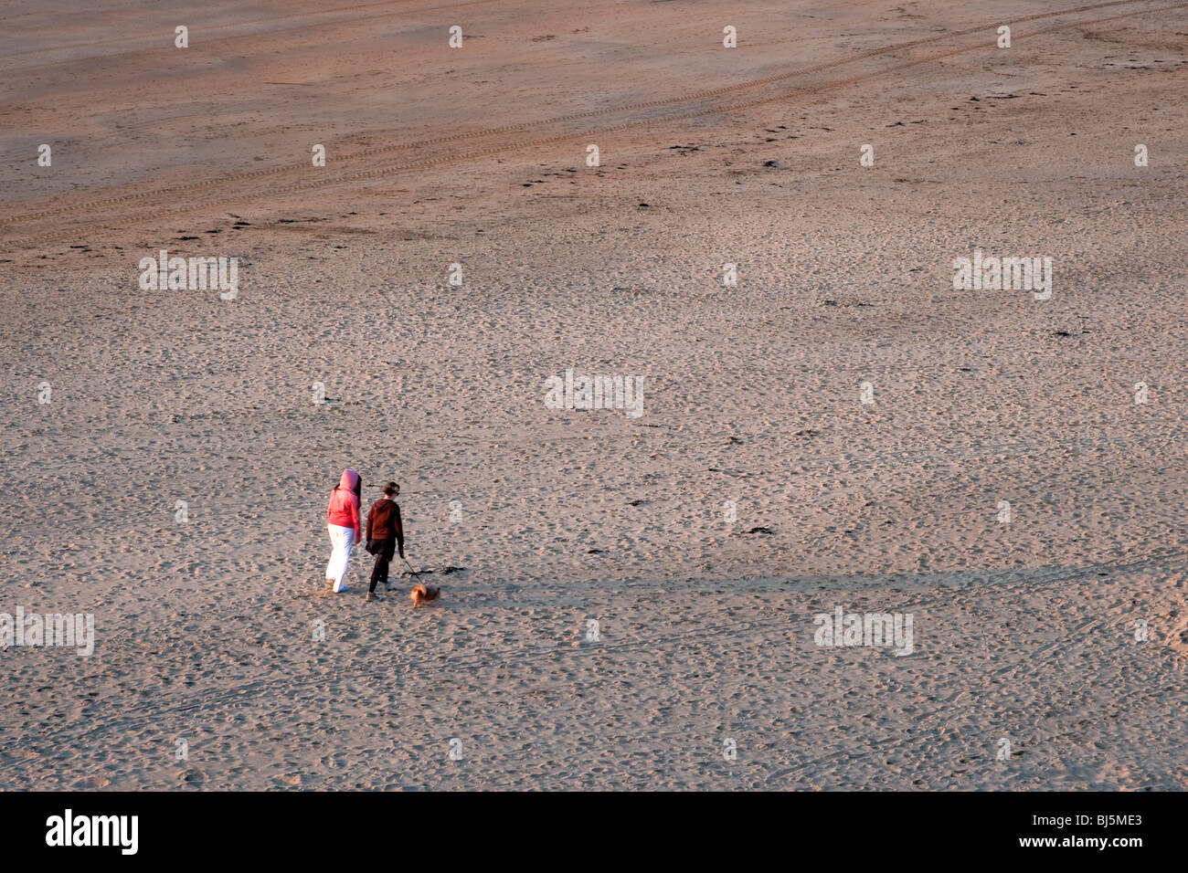 Due donne con il cane a camminare sulla spiaggia Ballybunnion, Irlanda Foto Stock