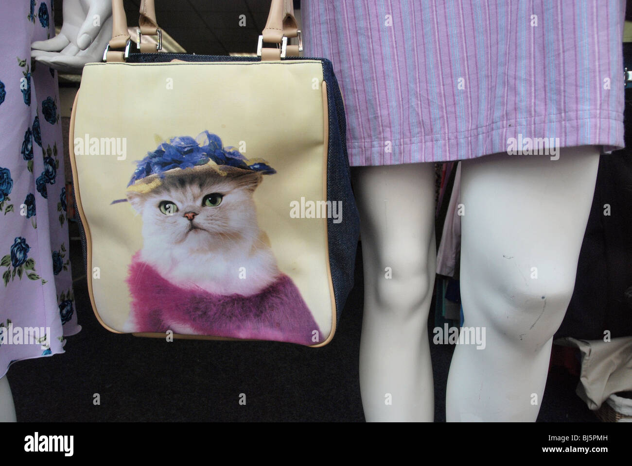 Manichini in una carità vetrina tenendo un sacchetto che ha un gatto su di esso vestito in un cappello. Foto Stock