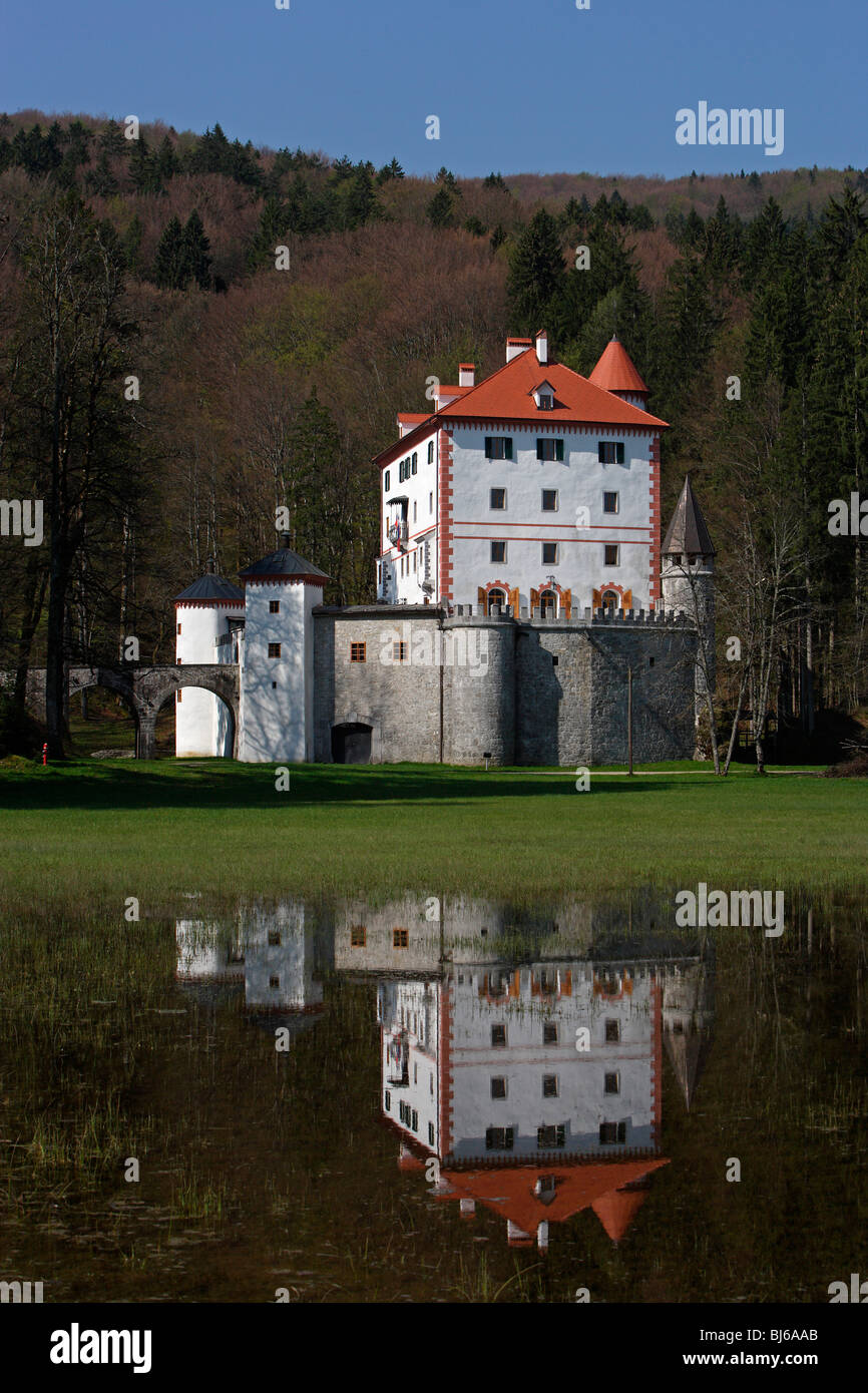 Il castello di Sneznik,xiii secolo,regione Notranjska,Slovenia Foto Stock