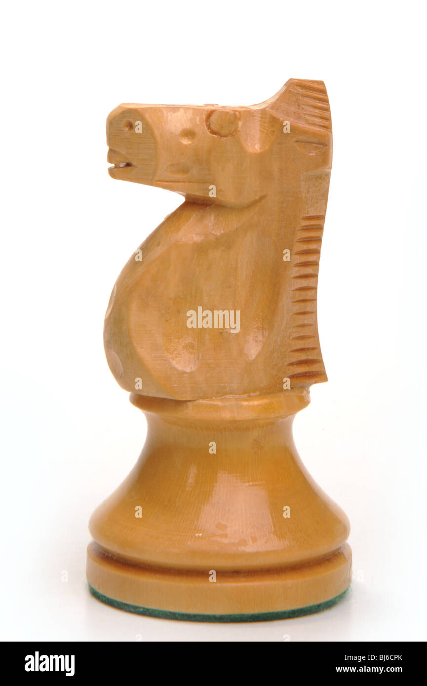 Knight, scacchi, scacchi pezzo, studio isolato Foto Stock