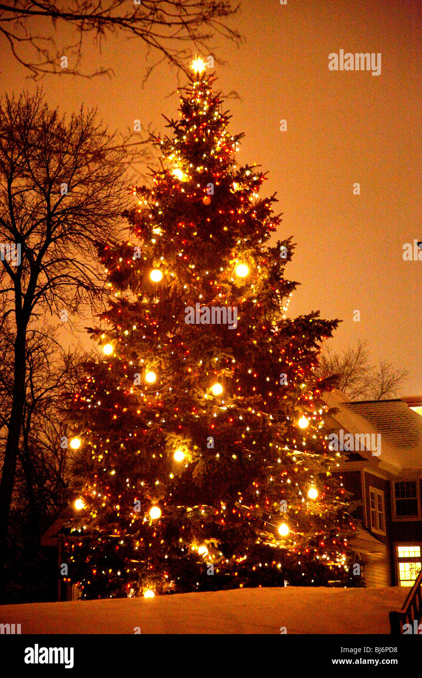 Al di fuori di notturno di albero di Natale decorato. St Paul Minnesota USA Foto Stock