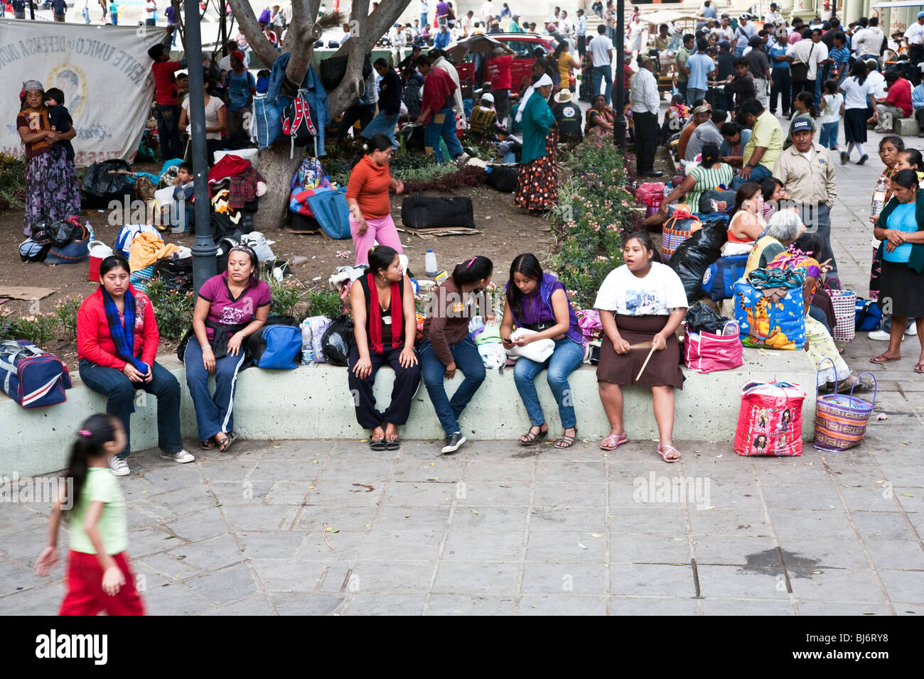 Accampamento di Mixtec indiani che cercano i diritti degli indigeni che occupa piantate aiuole di fiori della città di Oaxaca Zocalo Messico Foto Stock