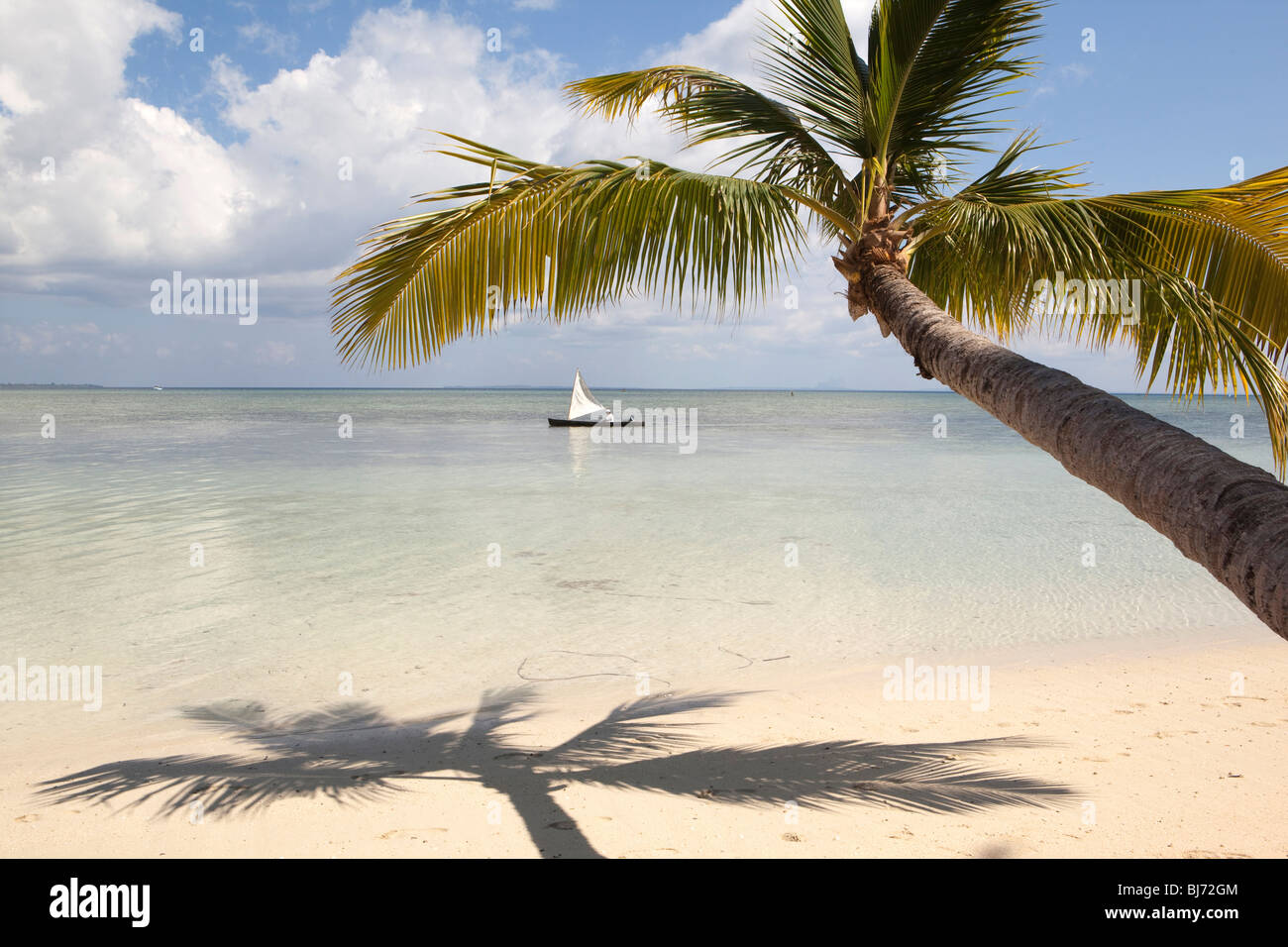 Indonesia Sulawesi, Wakatobi. Parco Nazionale, Hoga Isola del pescatore barca sotto la struttura Palm Tree Foto Stock