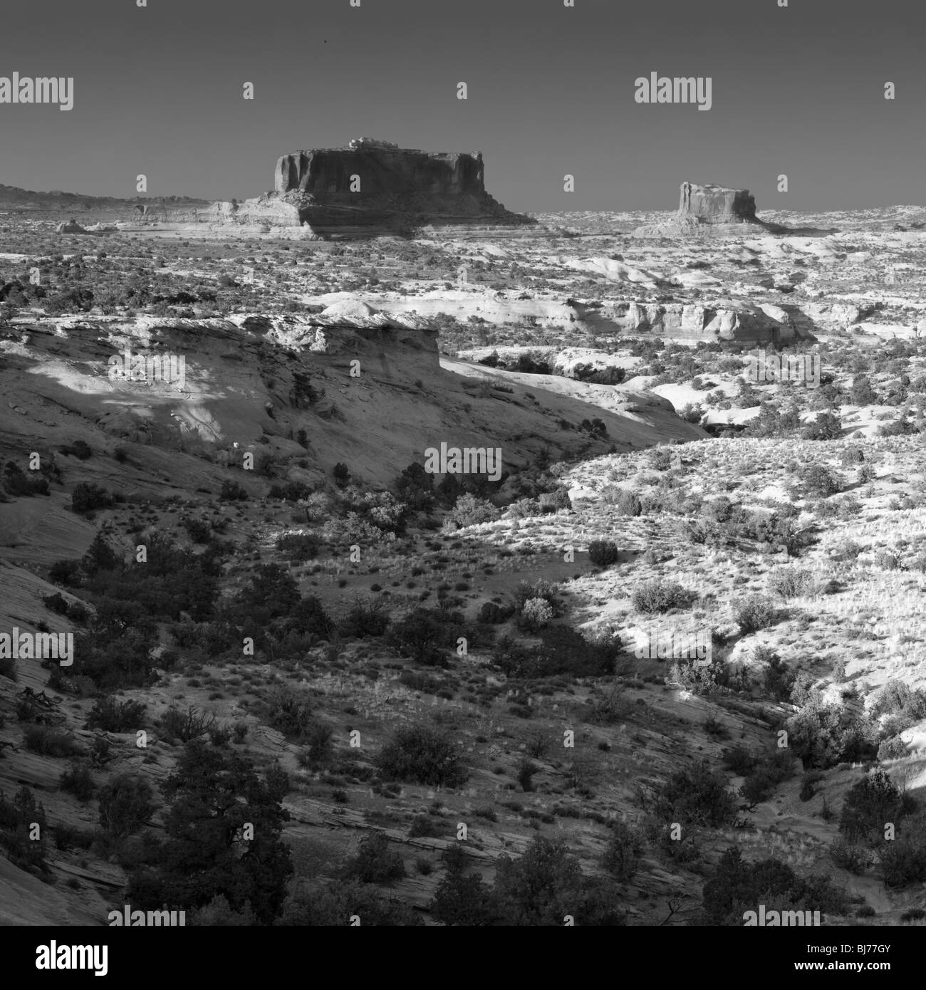 Il paesaggio del deserto, il Parco Nazionale di Canyonlands, Utah, Stati Uniti d'America Foto Stock