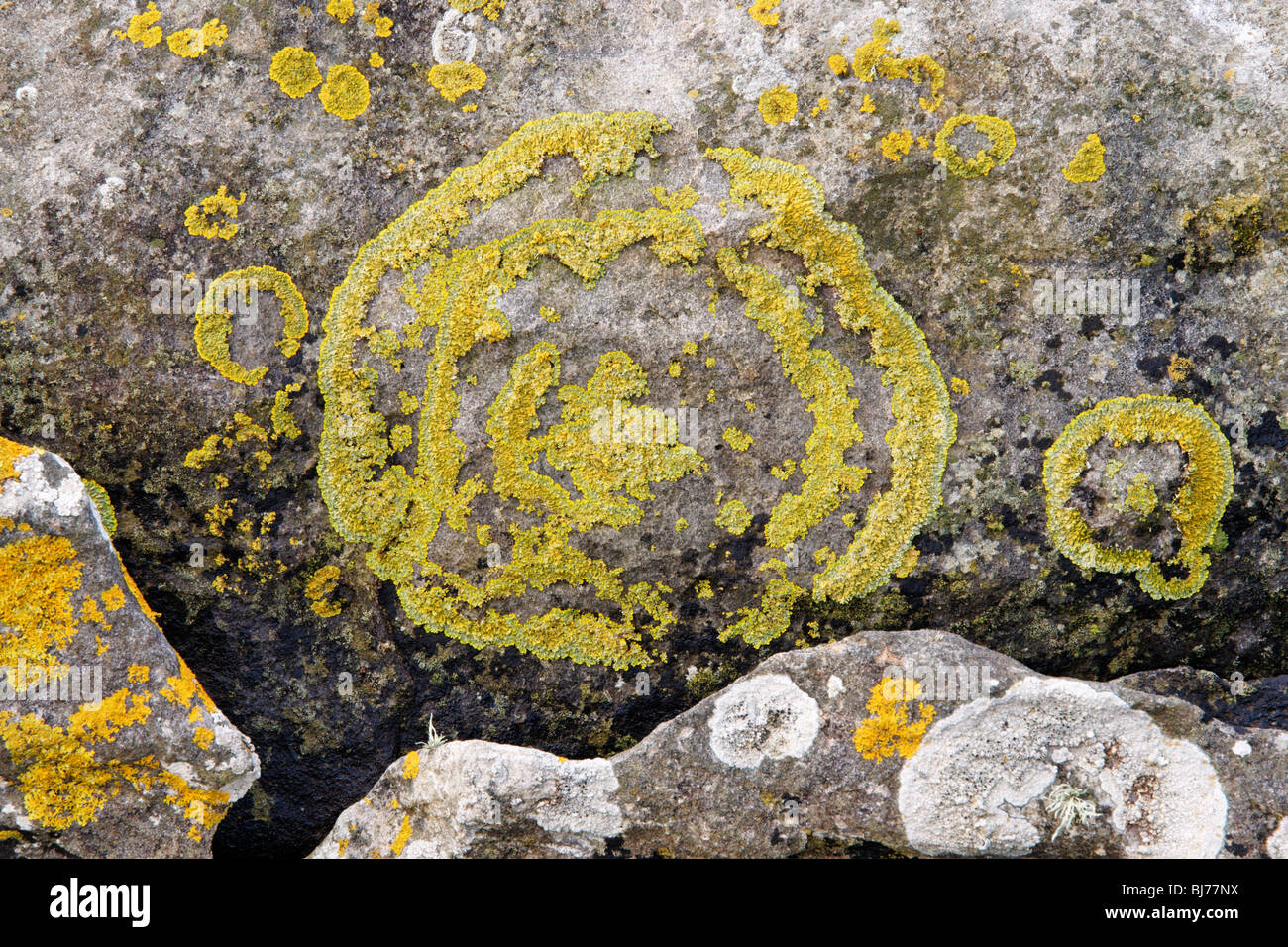 Il Lichen coperto rocce sulla spiaggia a Elgol, Isola di Skye, Scotland, Regno Unito. Foto Stock