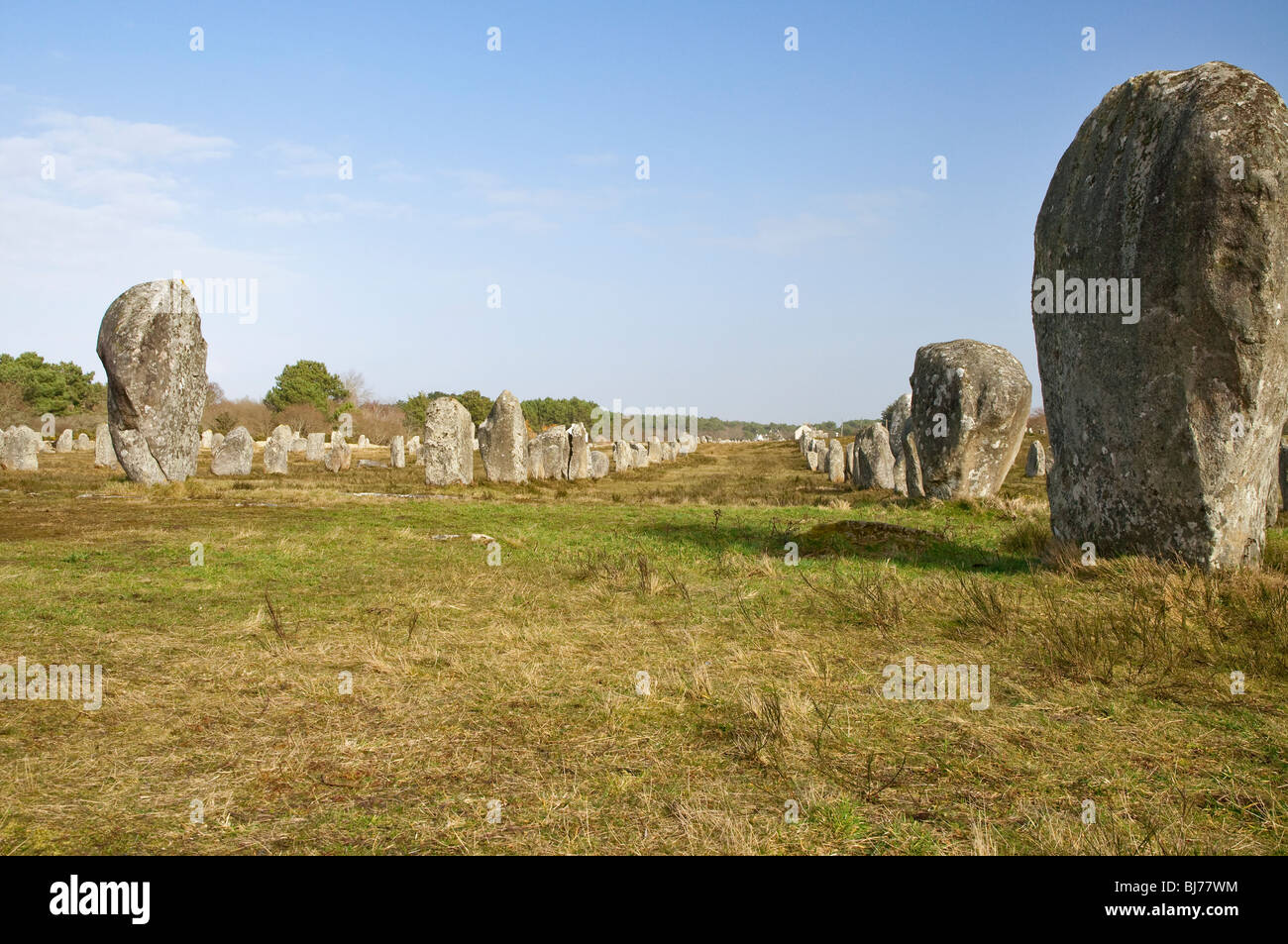 Alignements du Menec, pietre permanente a Carnac nel Morbihan ( Brittany, Francia, Europa) Foto Stock