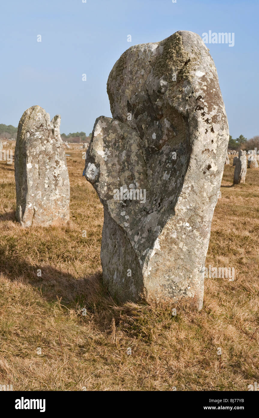 Alignements du Menec, pietre permanente a Carnac nel Morbihan ( Brittany, Francia, Europa) Foto Stock