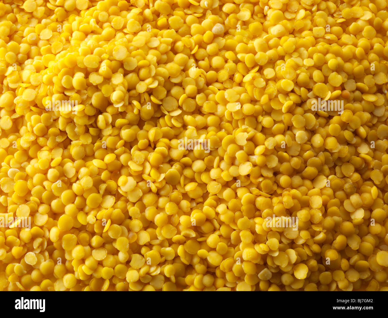 Fagioli di lenticchia gialli interi secchi - primo piano top shot full frame. Foto Stock