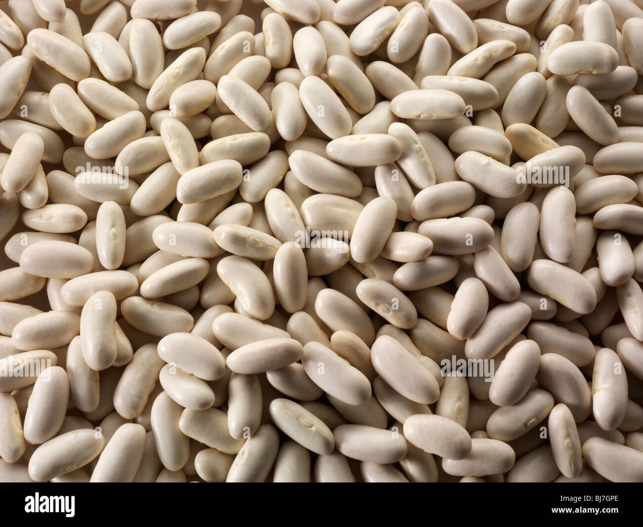 Fagiolo argentino intero essiccato, fagiolo di alubia, rajma bianco, fagiolo di rene bianco o fagiolo di cannellini, - primo piano top shot full frame Foto Stock