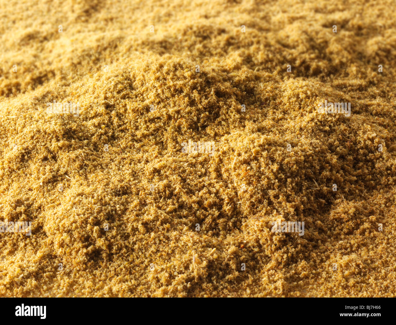 Il cumino in polvere, close up full frame Foto Stock