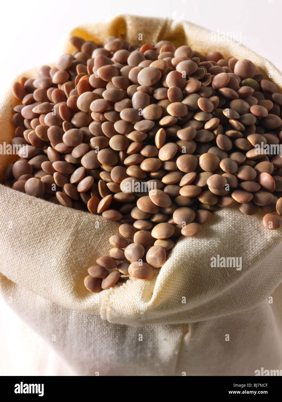 Tutto Brown Lenticchie Fave - stock foto Foto Stock