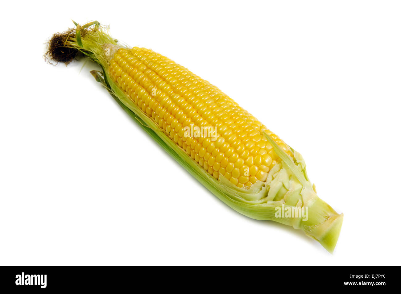 Tutoli di mais isolato su bianco Foto Stock