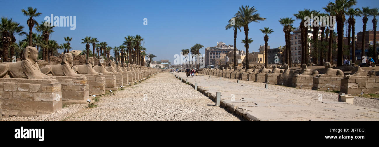 Viale di sfingi, parte della volta processionale road a Karnak, il Tempio di Luxor. Foto Stock