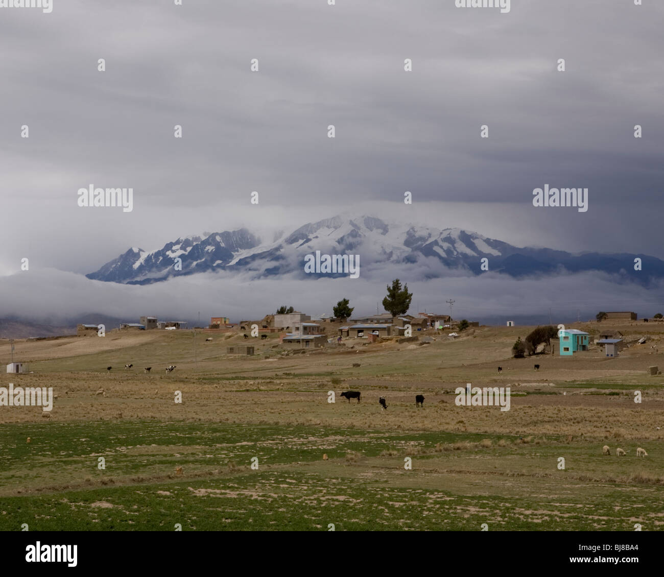 Piccolo insediamento e vacche ai piedi della maestosa montagna, alto plano, Bolivia Foto Stock
