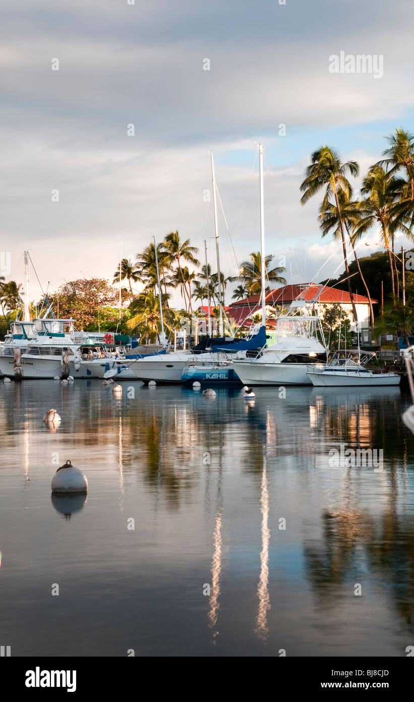 Lahaina Harbor, West Maui Hawaii che mostra un gioco grande di barche da pesca e le imbarcazioni da diporto Foto Stock