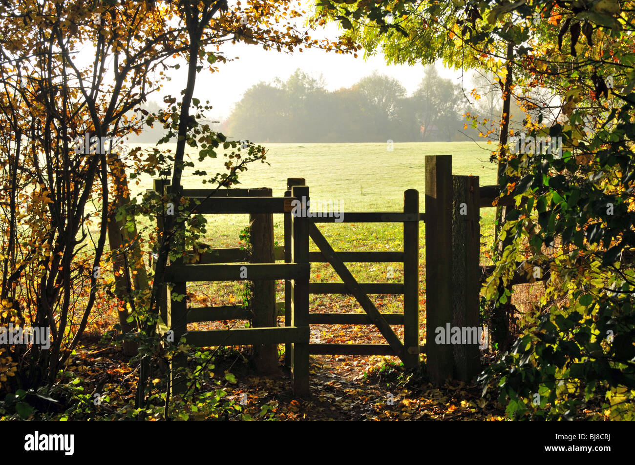 Colori autunnali sentiero pubblico kissing gate entrando in campo gli agricoltori Foto Stock