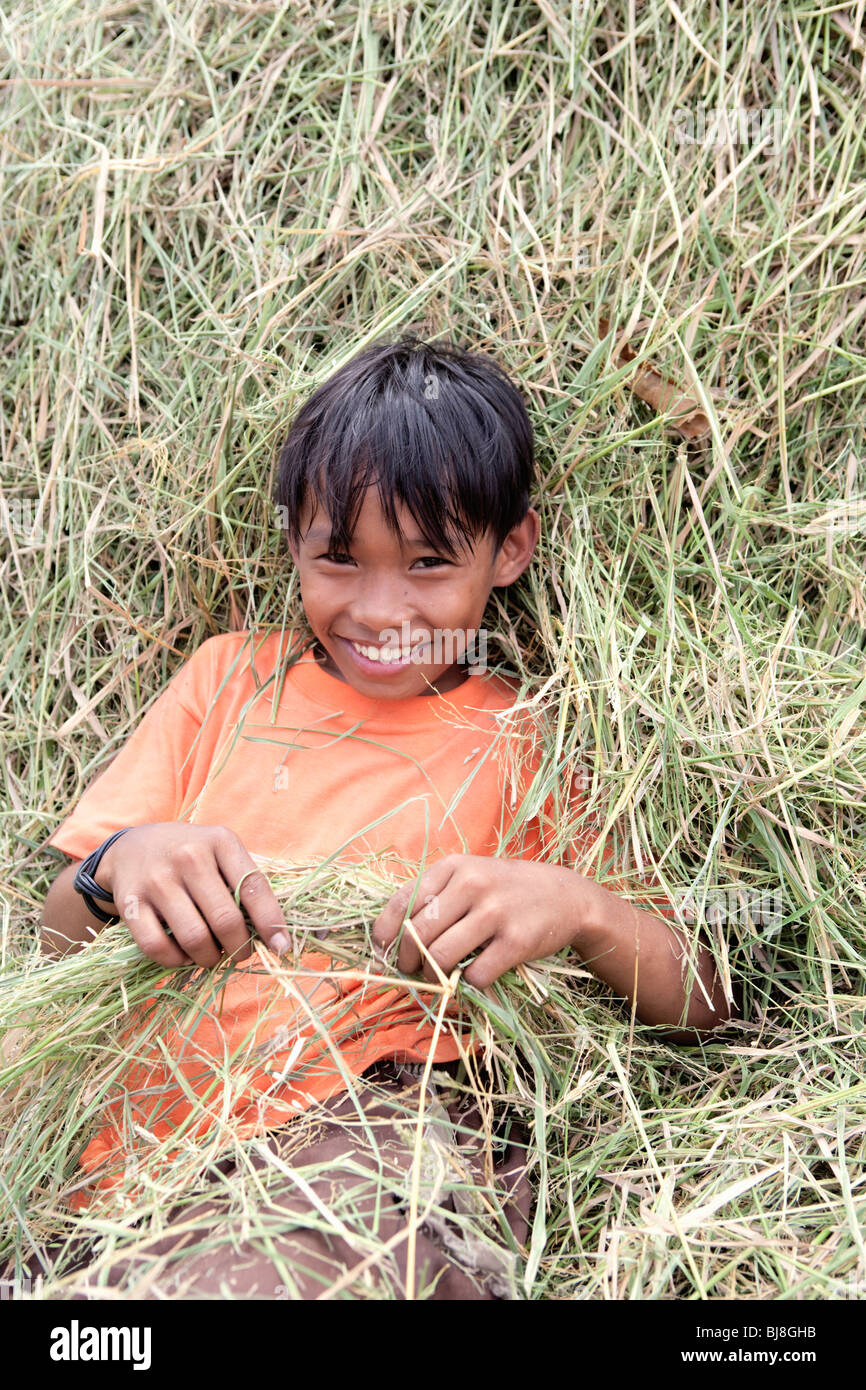 Giovane ragazzo sorridente giacente nel fieno pila durante il raccolto di riso; Batangas; Luzon meridionale; Filippine Foto Stock