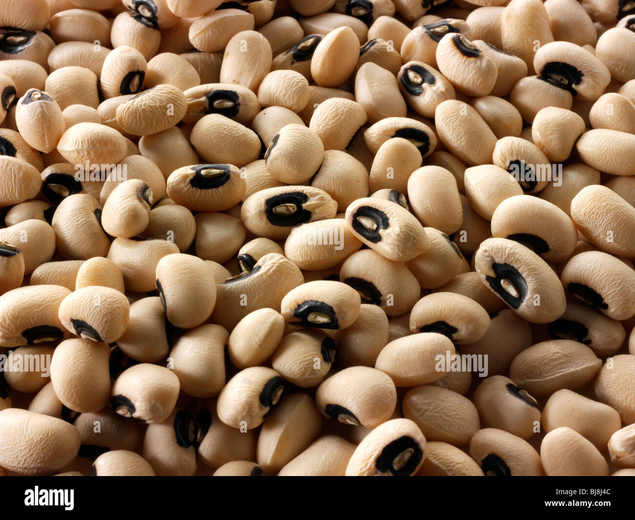 Fagioli interi degli occhi neri o piselli neri- ravvicinato in su top shot full frame Foto Stock
