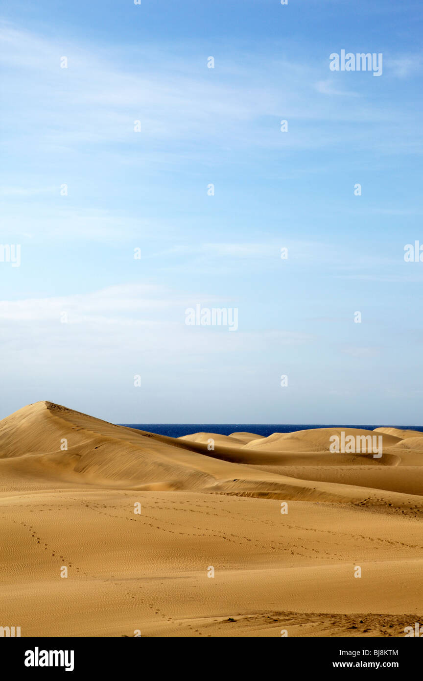 Le dune di sabbia di Maspalomas gran canaria Foto Stock