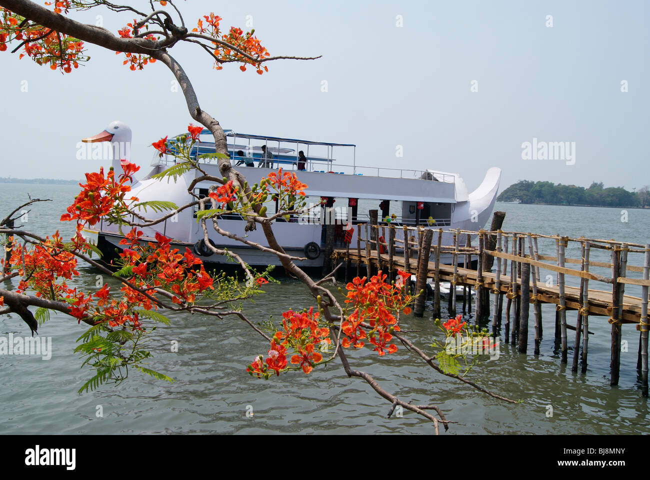 A forma di papera imbarcazione turistica parcheggiato in Marine Drive,Cochin,Kerala, India.Marine Drive è una destinazione turistica all'interno di città di Cochin Foto Stock