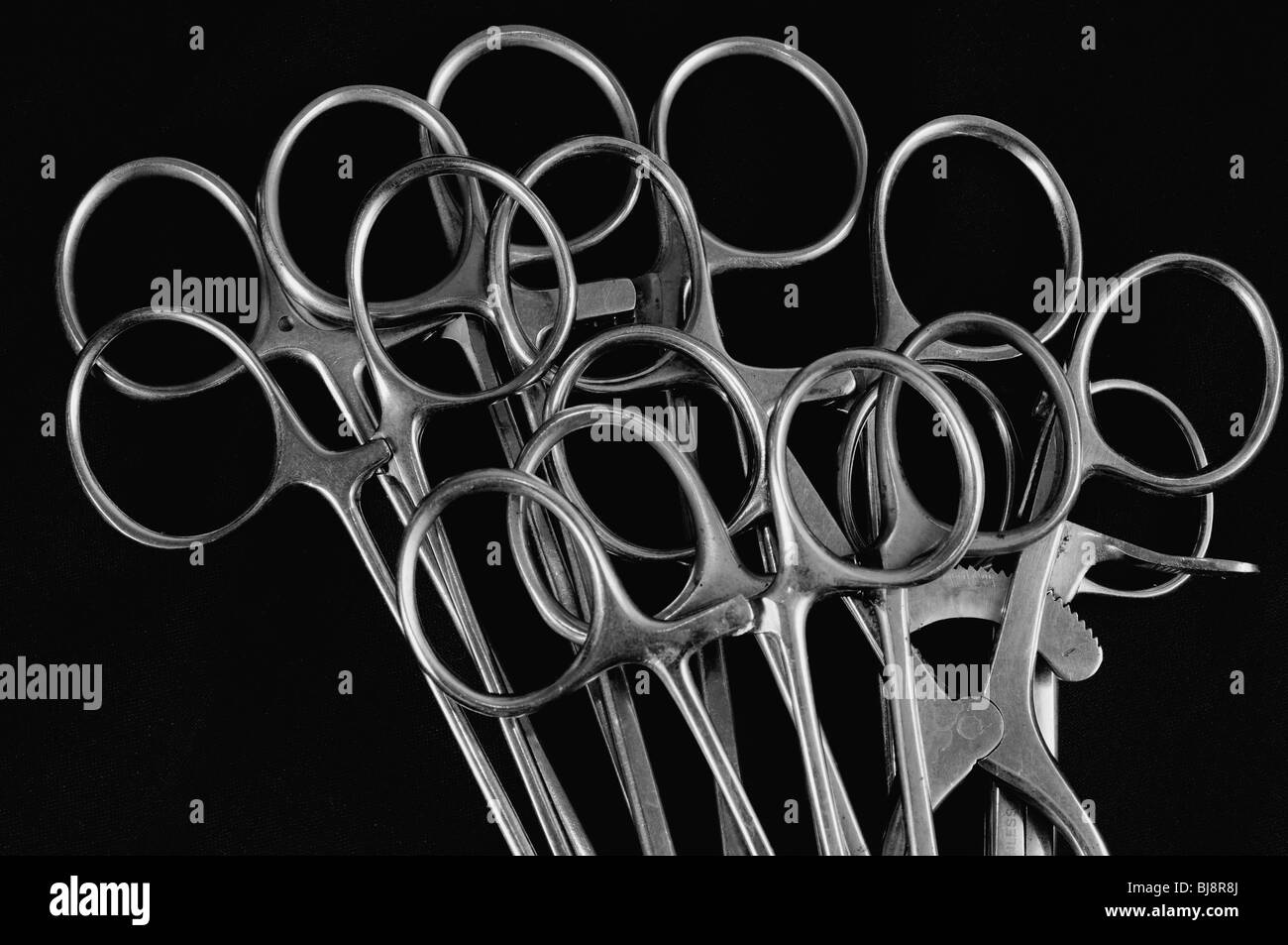 Close up di un forcipe maniglie in acciaio inox utilizzati per imbalsamazione Foto Stock