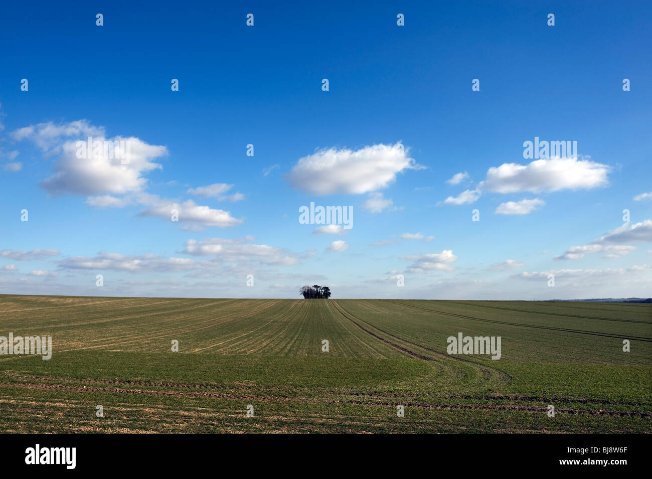 La molla paesaggio agricolo sulle colline Gogmagog, Cambridgeshire, Gran Bretagna. Tre puffy nuvole bianche in un luminoso cielo blu. Foto Stock