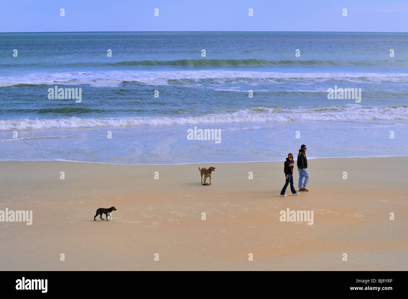 Una coppia e i loro cani una passeggiata sulla spiaggia della Florida costa atlantica Foto Stock