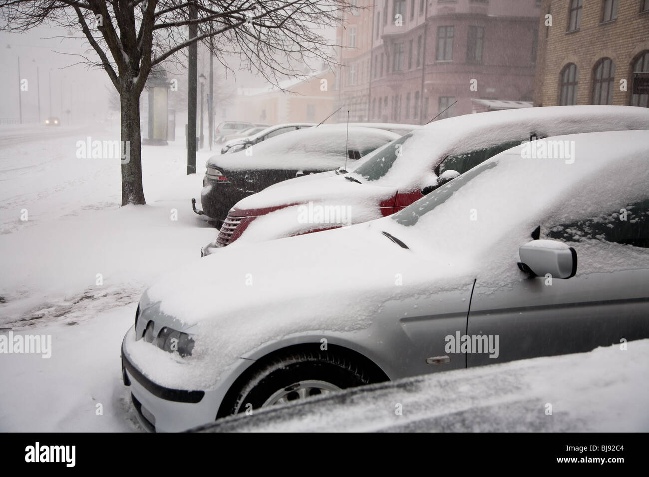 Macchine parcheggiate ricoperte di neve in pesante tempesta di neve Foto Stock