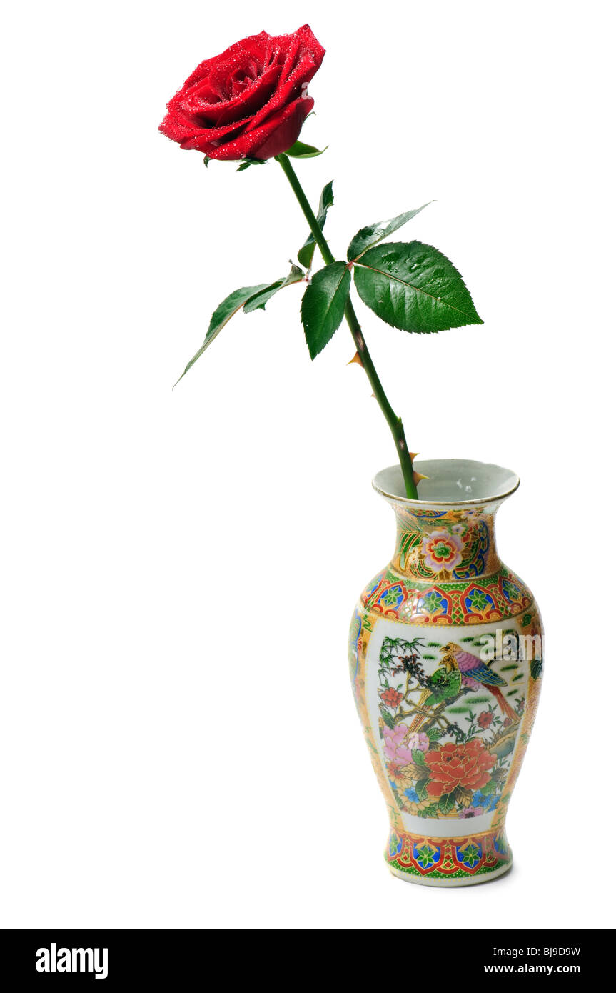 Single Red Rose in vaso isolato su bianco Foto Stock
