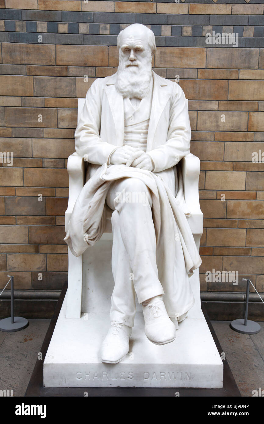 Il Museo di Storia Naturale di Londra. La statua di Darwin è stato spostato nella sala centrale per celebrare Darwin's bicentenery. Foto Stock