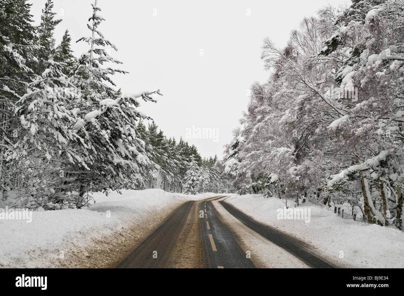 dh Snow Roads A938 INVERNO Regno Unito strada vuota attraverso la foresta di inverno nevoso alberi highlands scozzesi inverno aperto coperto Foto Stock