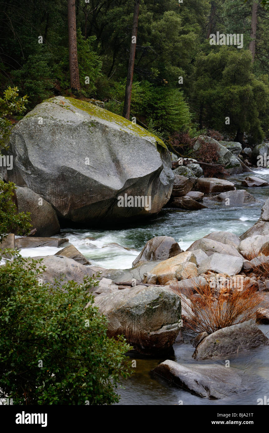 Massi sul fiume Merced nel Parco Nazionale di Yosemite in California USA in una pioggia d'inverno Foto Stock