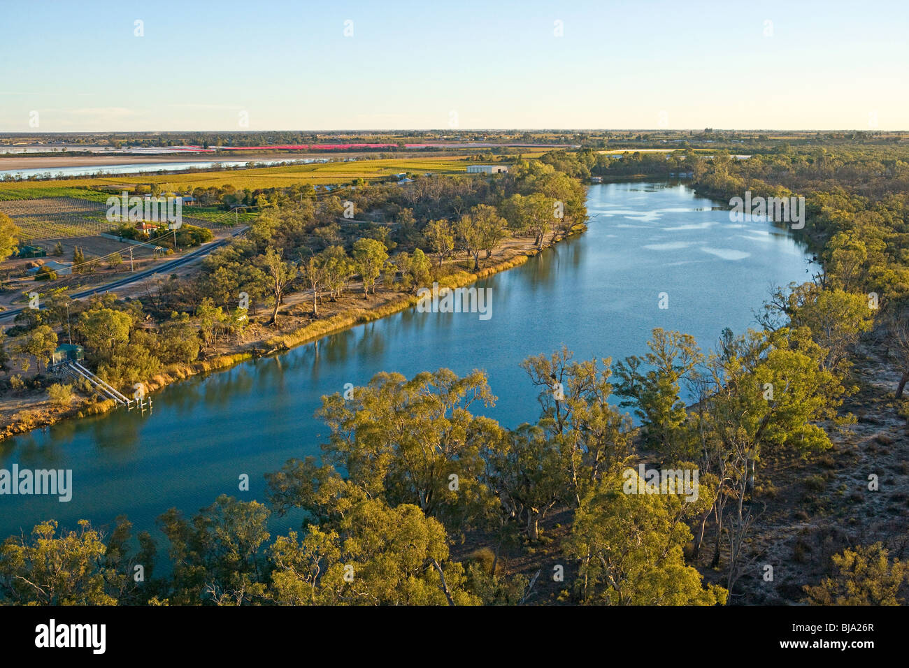 Basso livello foto aerea del Fiume Murray, con vigne irrigate, basso flusso di Mildura. Foto Stock