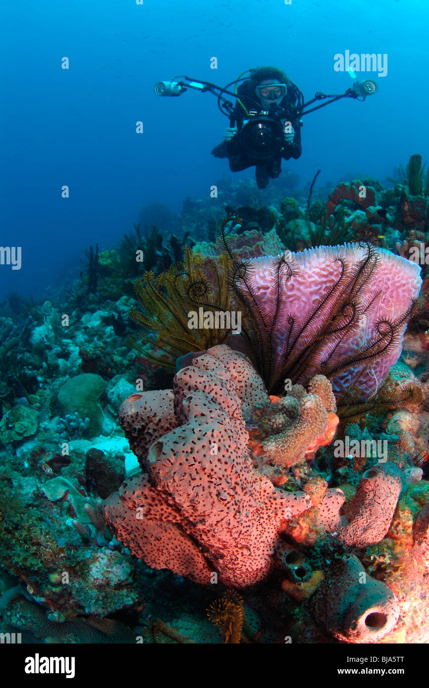 Subacqueo con una fotocamera subacquea nuoto su una scogliera Foto Stock