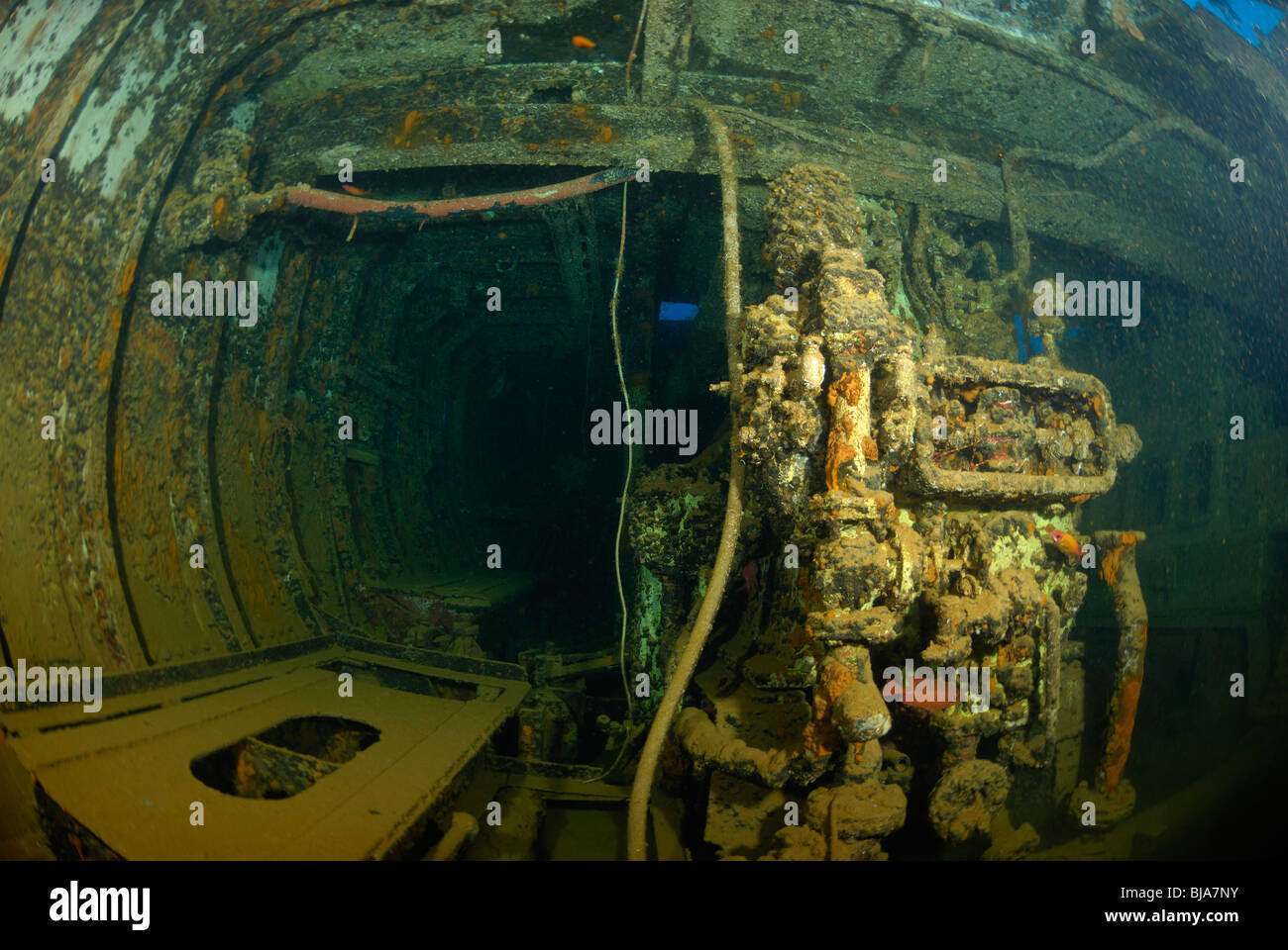 All'interno dello scafo del relitto di Nahoun affondò la Martinica. Foto Stock