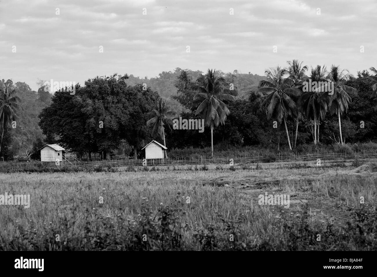 Repubblica democratica popolare del Laos, Repubblica popolare democratica del Laos Foto Stock