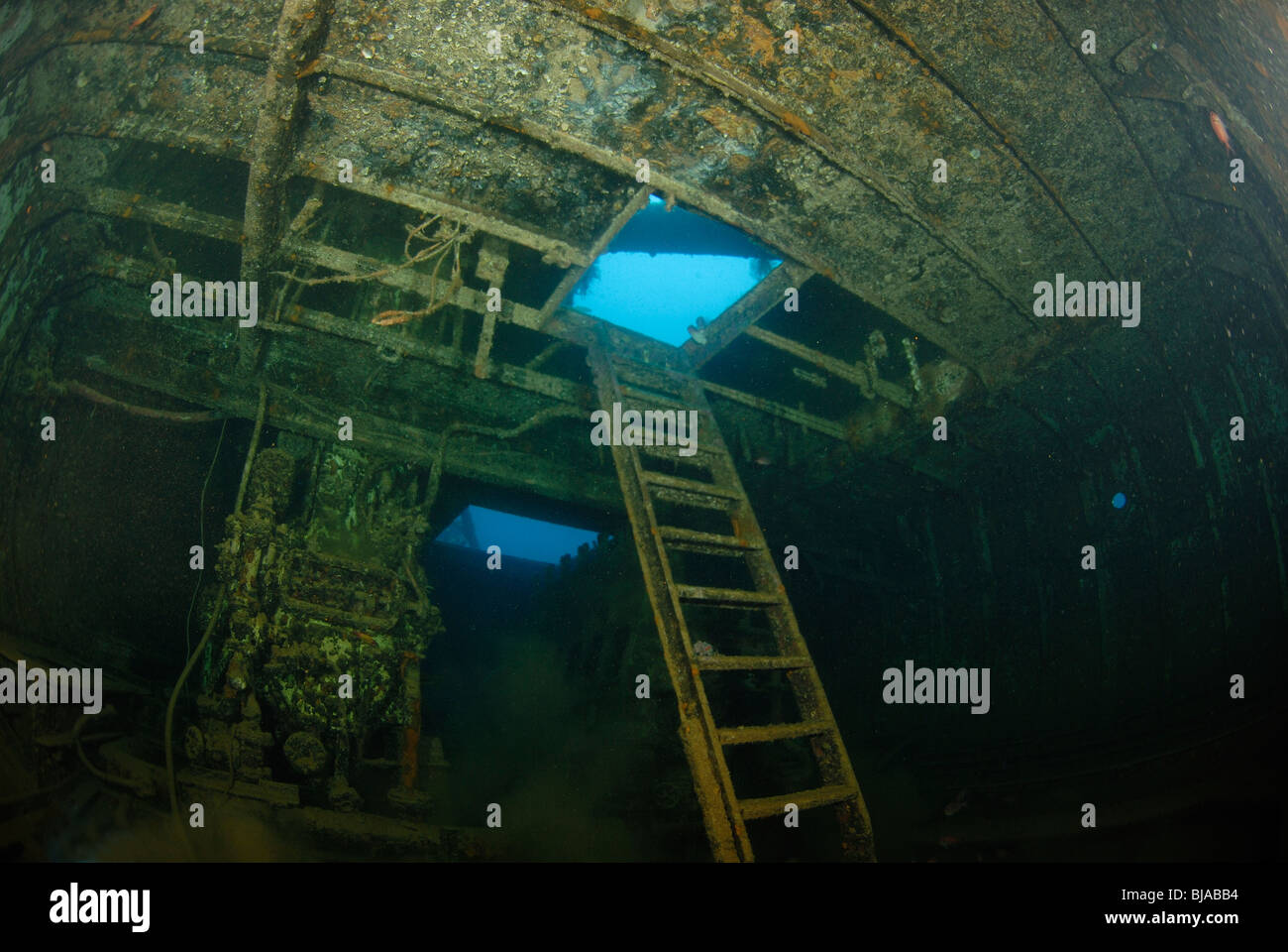 All'interno dello scafo del relitto di Nahoun affondò la Martinica. Foto Stock