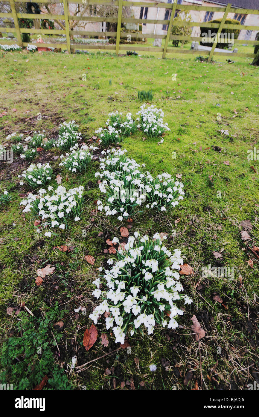 St leonards chiesa beoley worcestershire con bucaneve in fiore d'inverno. Foto Stock