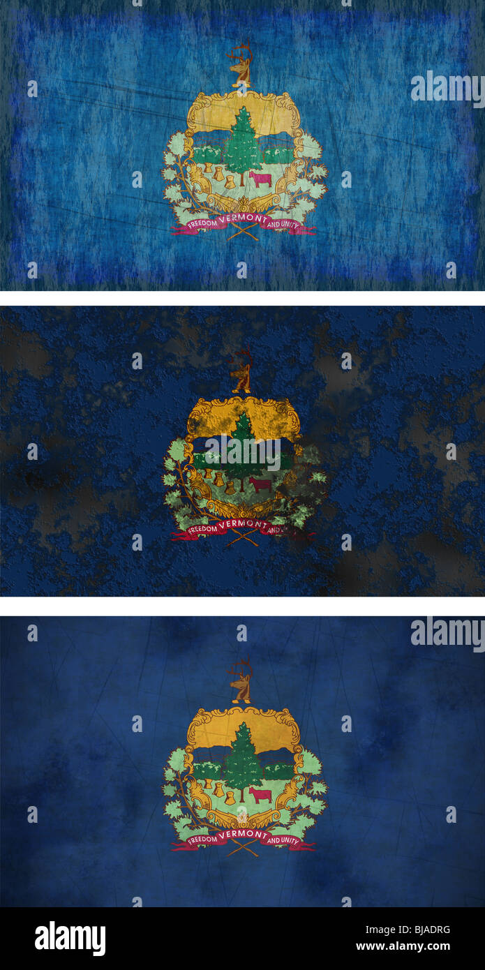 Grande immagine della bandiera del Vermont Foto Stock