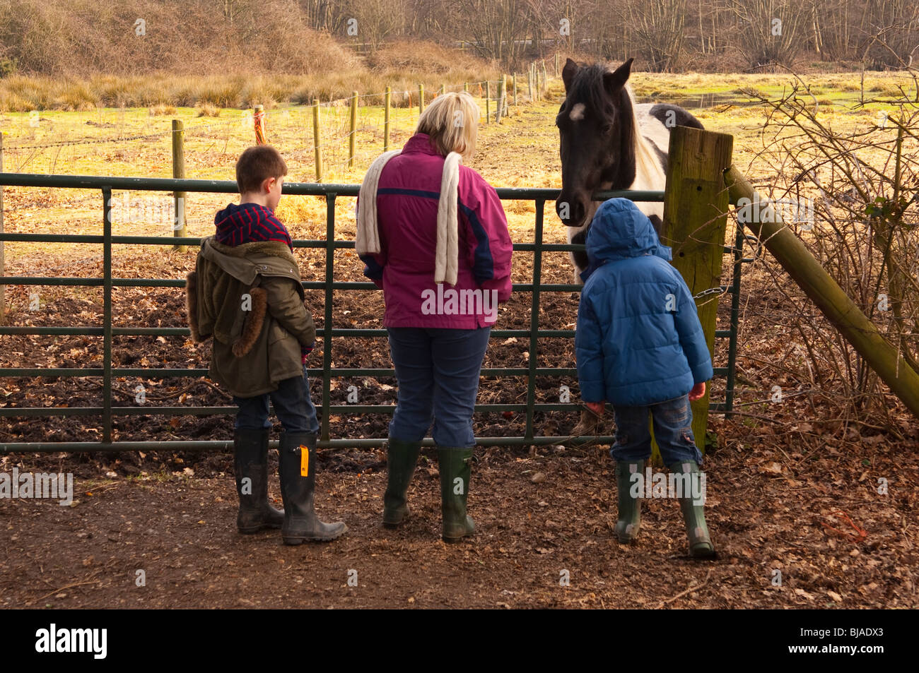 Un modello rilasciato foto di una madre e i suoi figli guardando un cavallo in un campo del Regno Unito Foto Stock