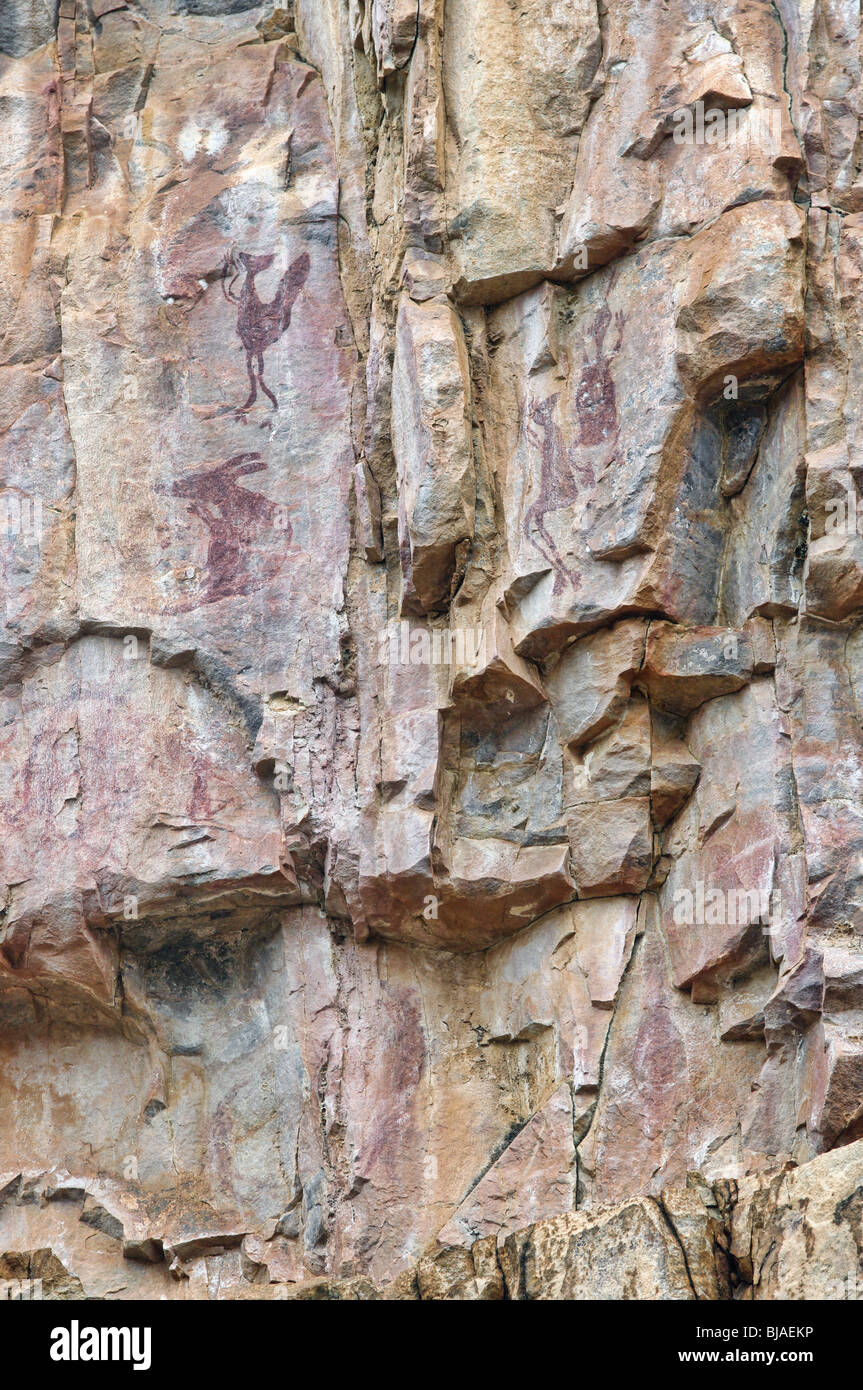 Pitture rupestri nella Katherine Gorge Foto Stock