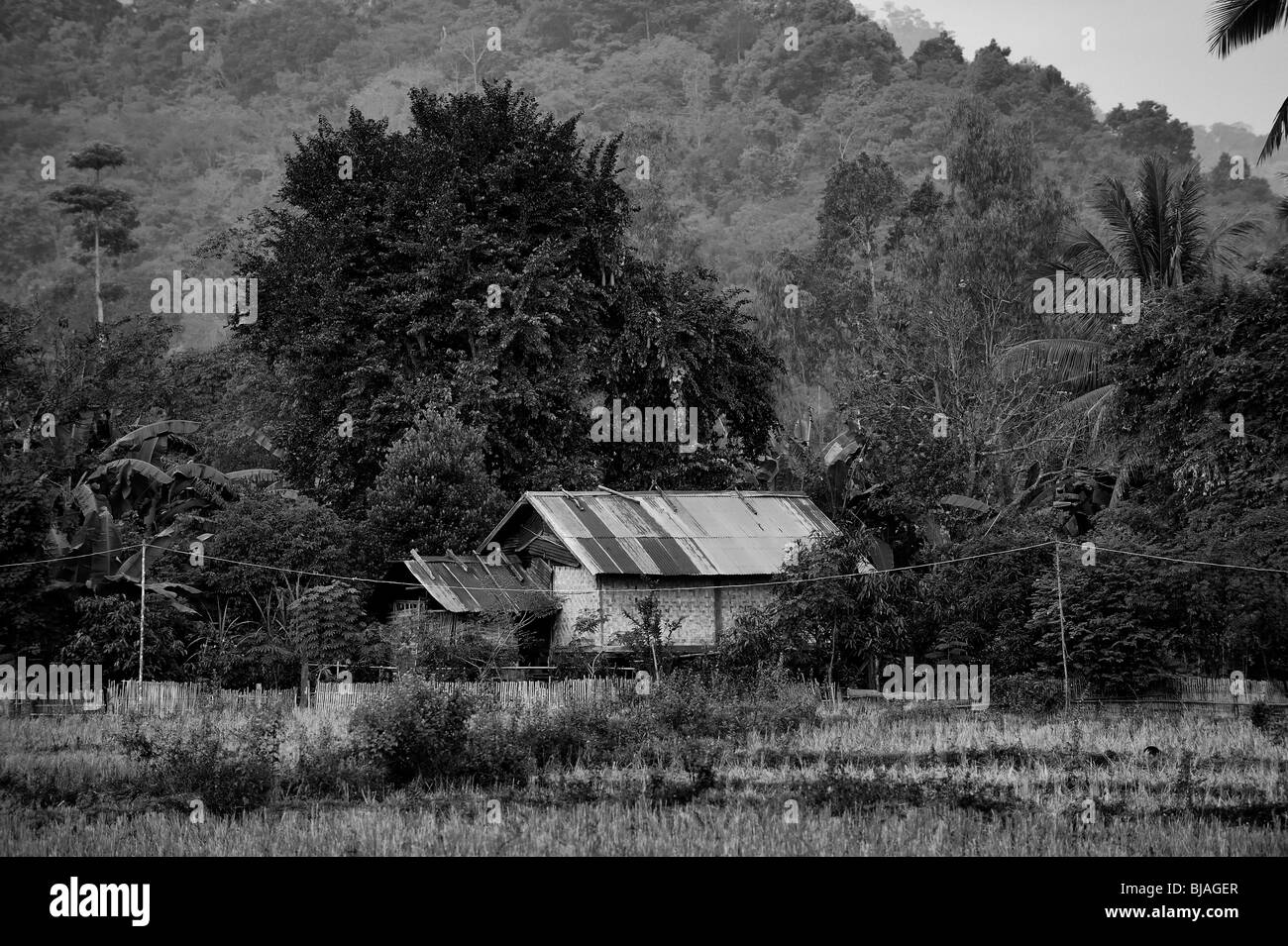 Repubblica democratica popolare del Laos, Repubblica popolare democratica del Laos Foto Stock