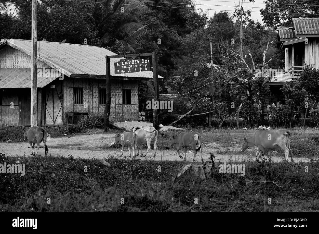 Repubblica democratica popolare del Laos, Repubblica popolare democratica del Laos Foto Stock