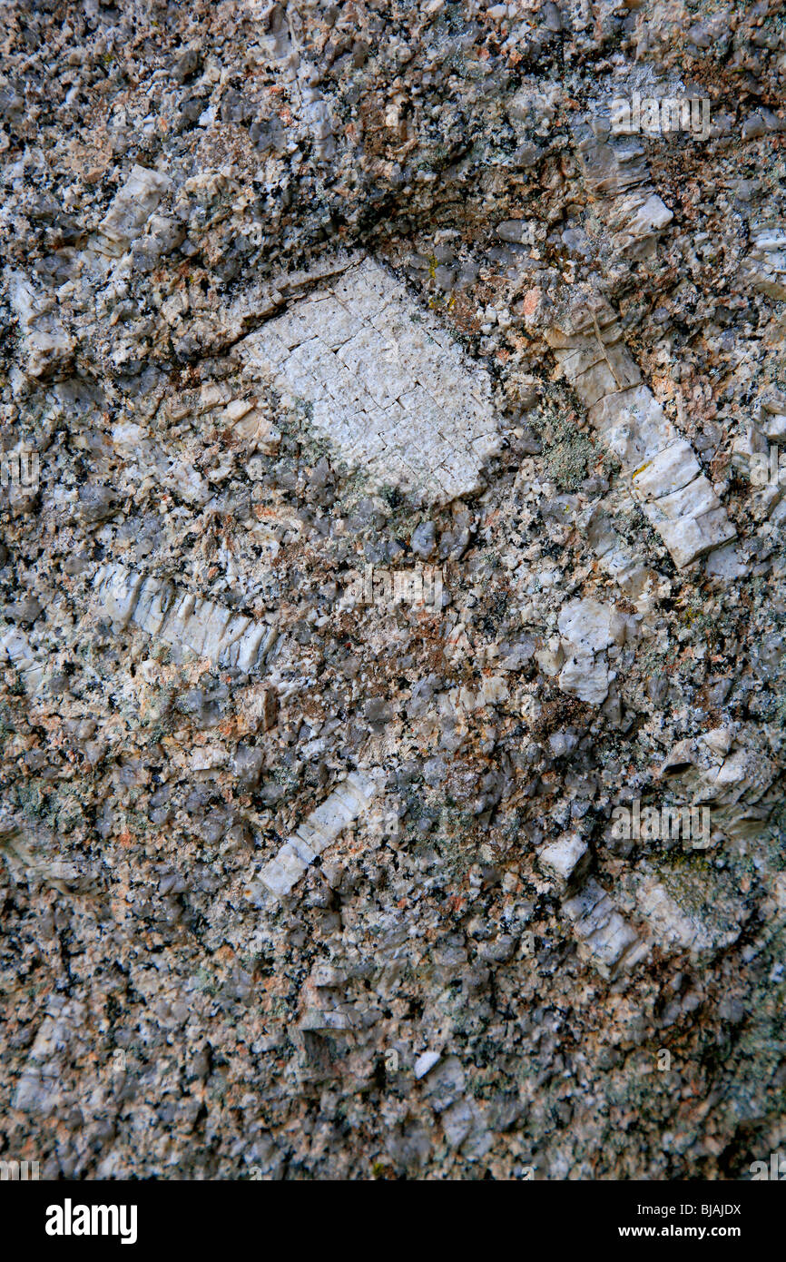 Close up dettaglio panorama Haytor roccia granitica formazione al Parco Nazionale di Dartmoor Devon England Regno Unito Regno Unito Foto Stock