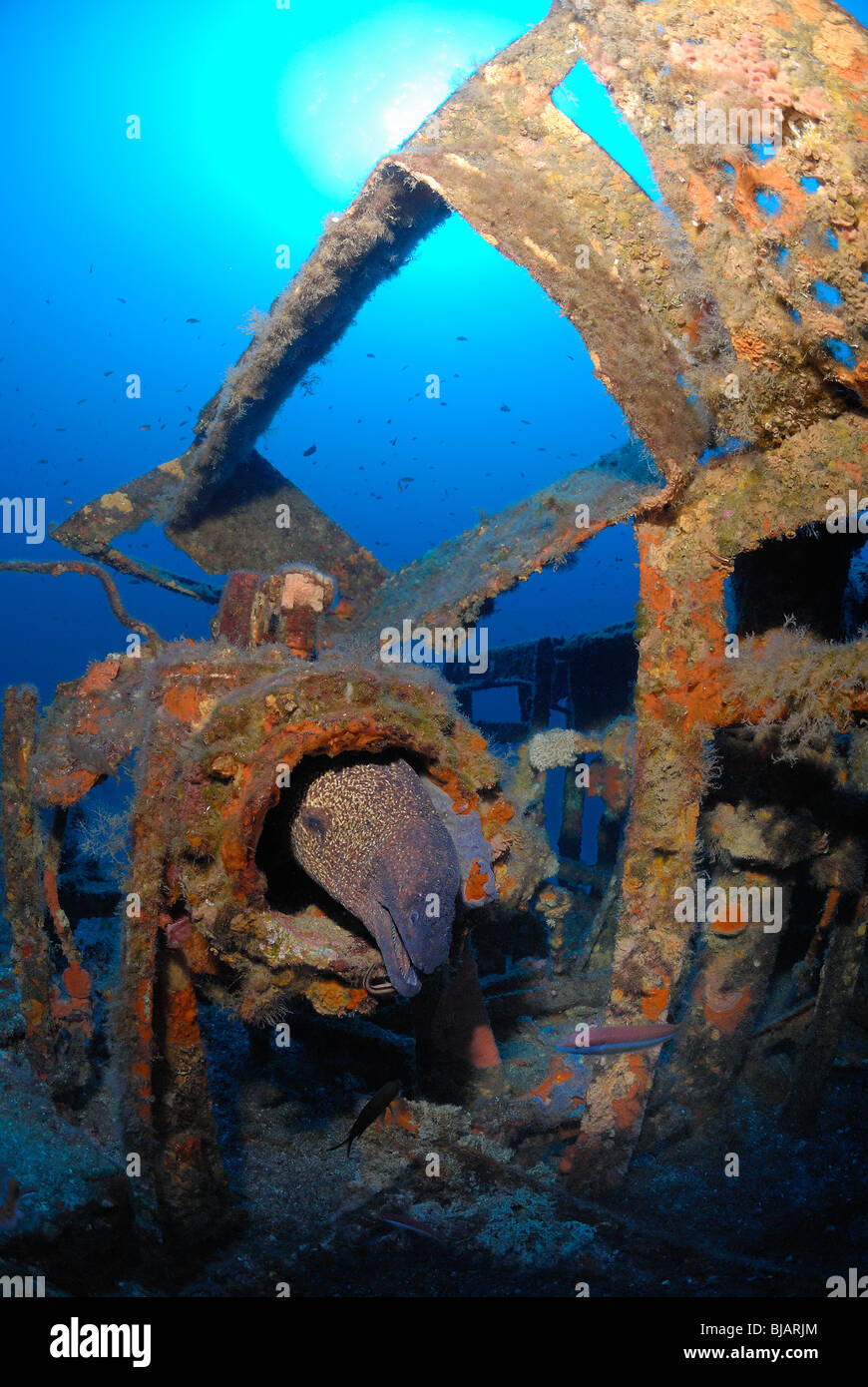 Rubis relitto sottomarino nel Mare Mediterraneo Foto Stock
