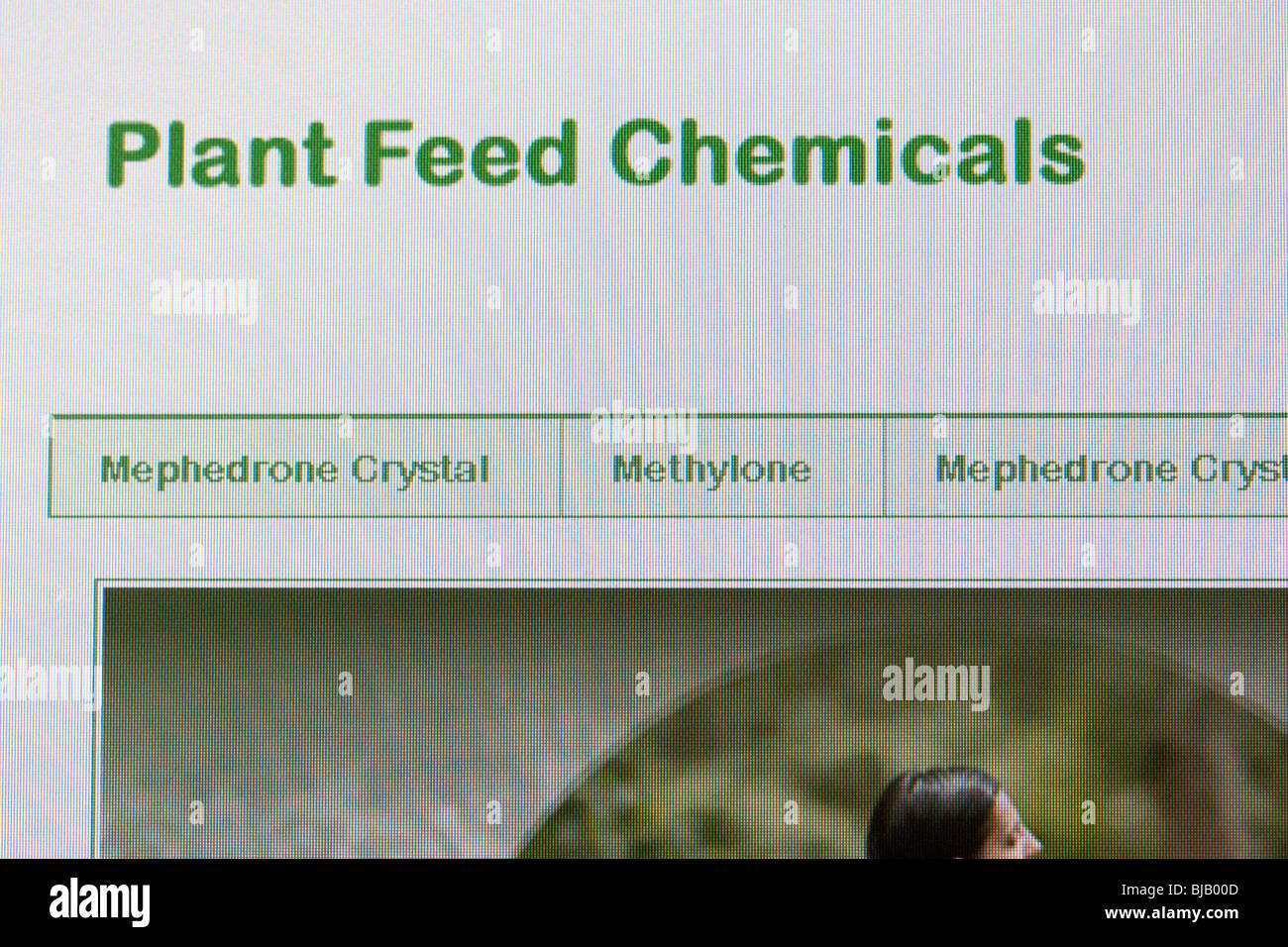 Web site vendere il farmaco mephedrone legalmente nel Regno Unito come mangimi vegetali prodotti chimici Foto Stock