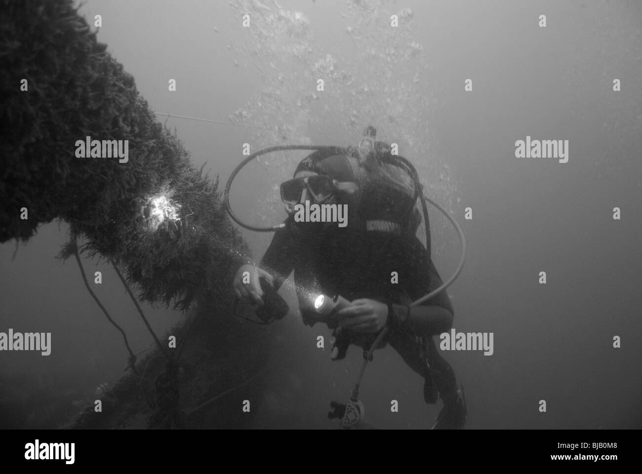 Scuba Diver esplorando ponte artificiale affondato in Normandia, Francia Foto Stock