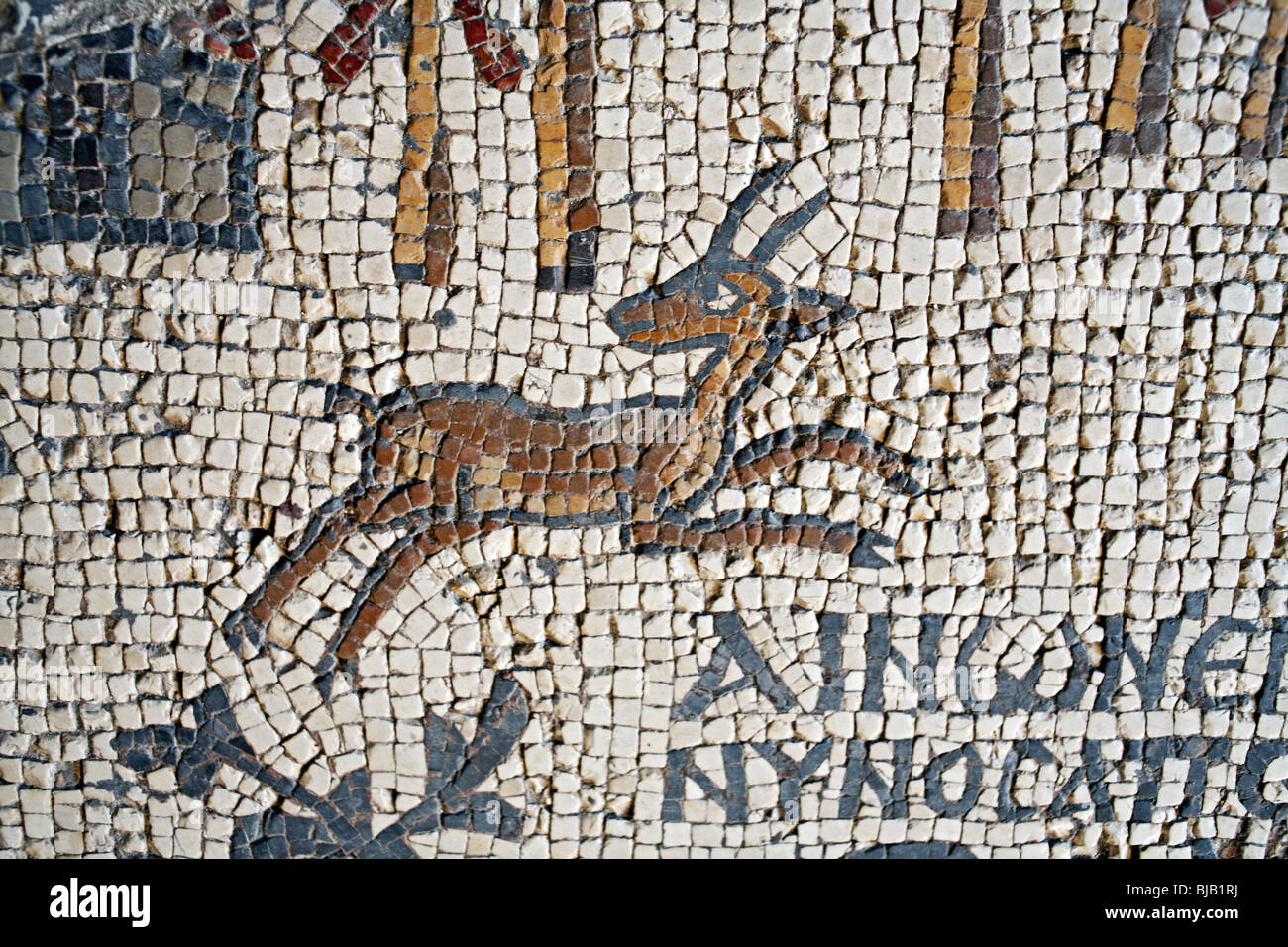Mosaico della mappa della Terra Santa (560), San Giorgio chiesa greco ortodossa, Madaba, Giordania Foto Stock