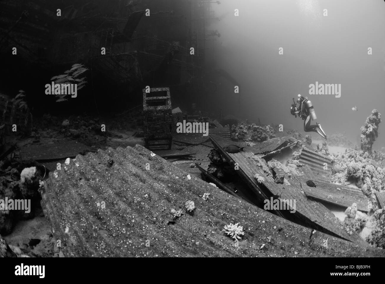 Sommozzatore cercando il Salem Express relitto off Safaga, Mar Rosso. Foto Stock